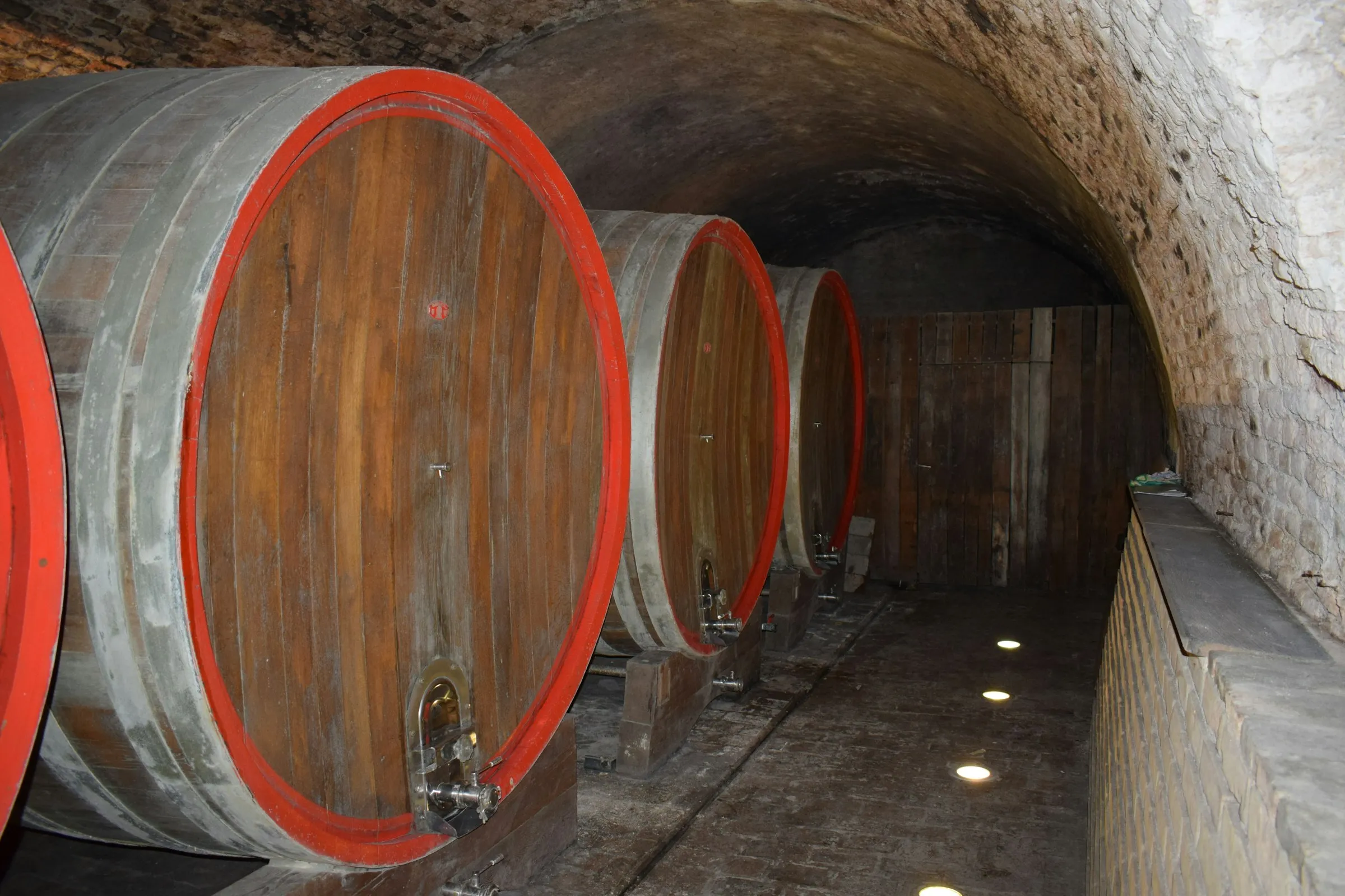 Rânduri de butoaie de stejar care maturează vin într-o pivniță