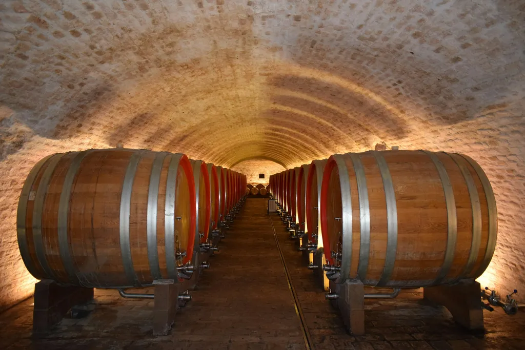Long underground tunnel of oak barrels in a Moldovan cellar