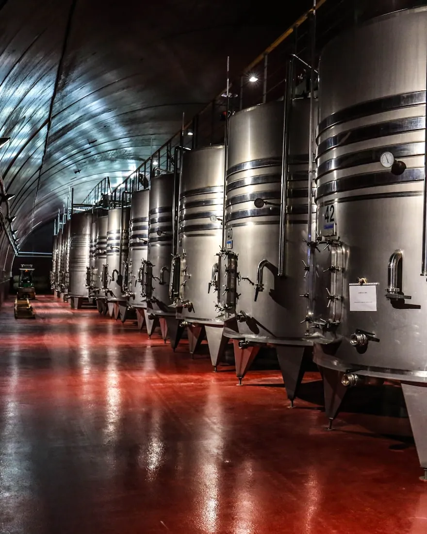 A row of stainless steel fermentation tanks in a winery hall