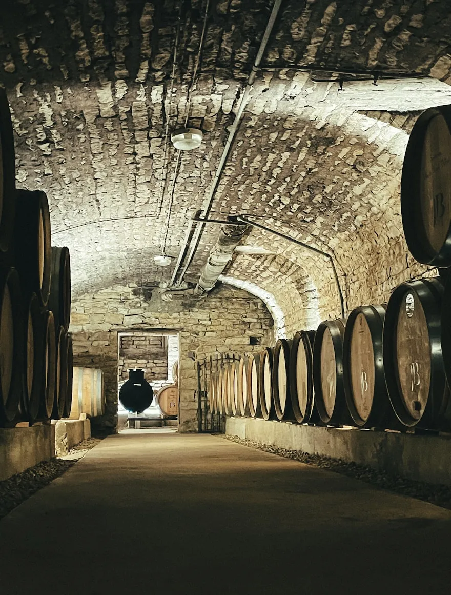 Oak barrels resting along the walls of a stone cellar