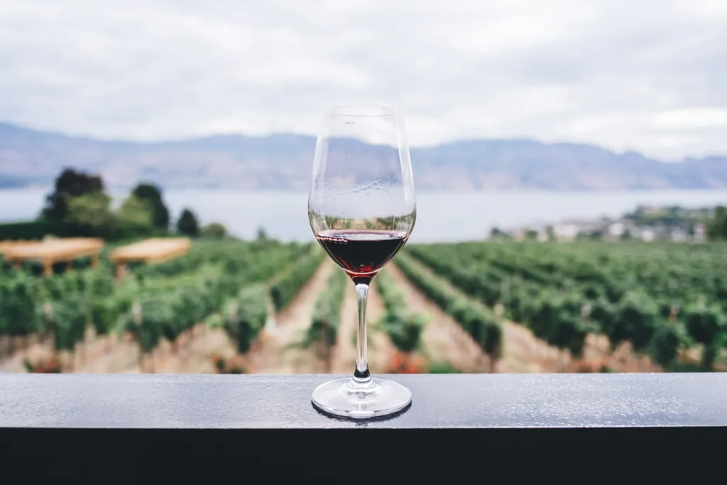 A glass of wine held up in warm light beside a fruit orchard